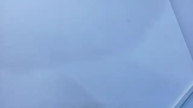 Lizbeth_Rouse's avatar